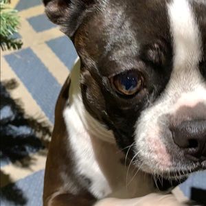 Meet your Posher, Rowan